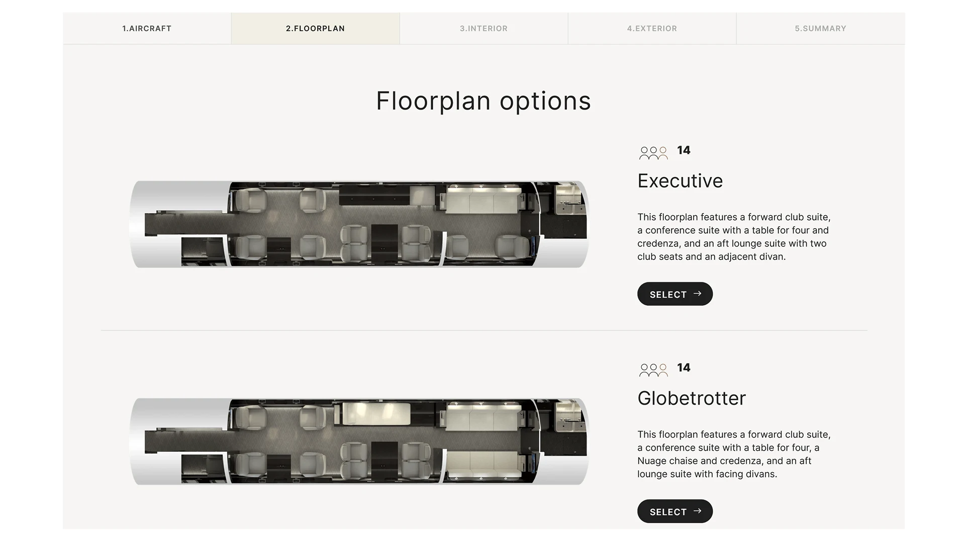 Interactive aircraft configurator with a choice of options and modules